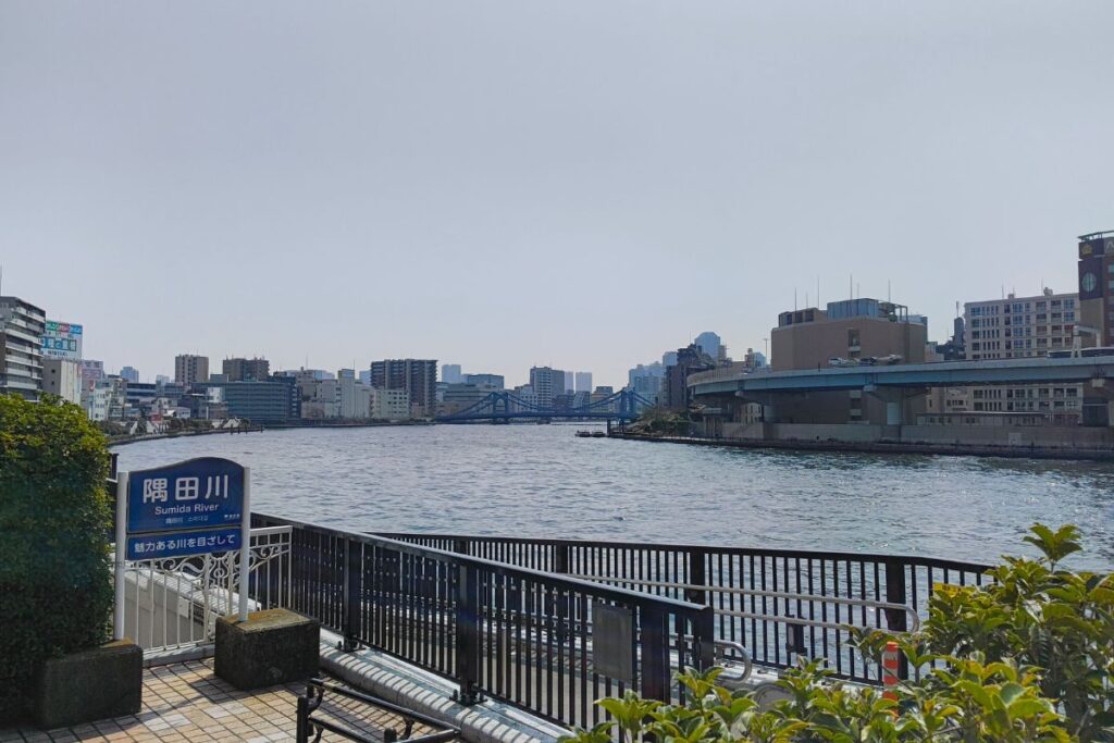 新大橋からの眺め 隅田川と清洲橋の写真