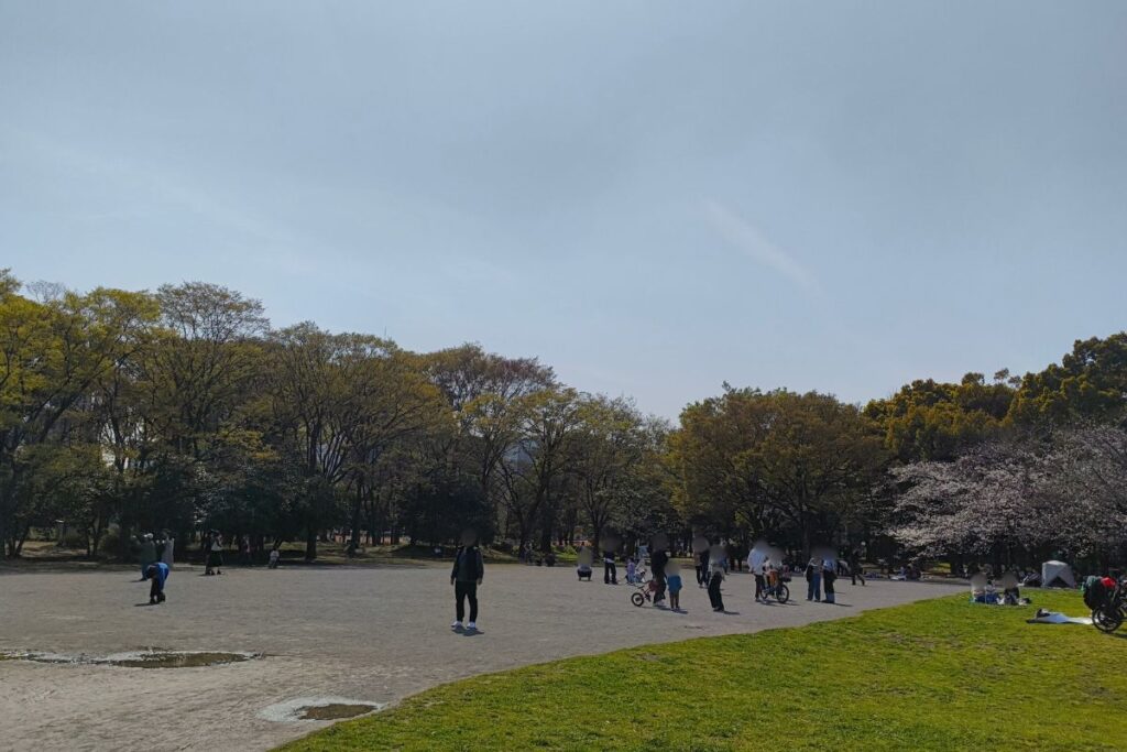 清澄公園の写真